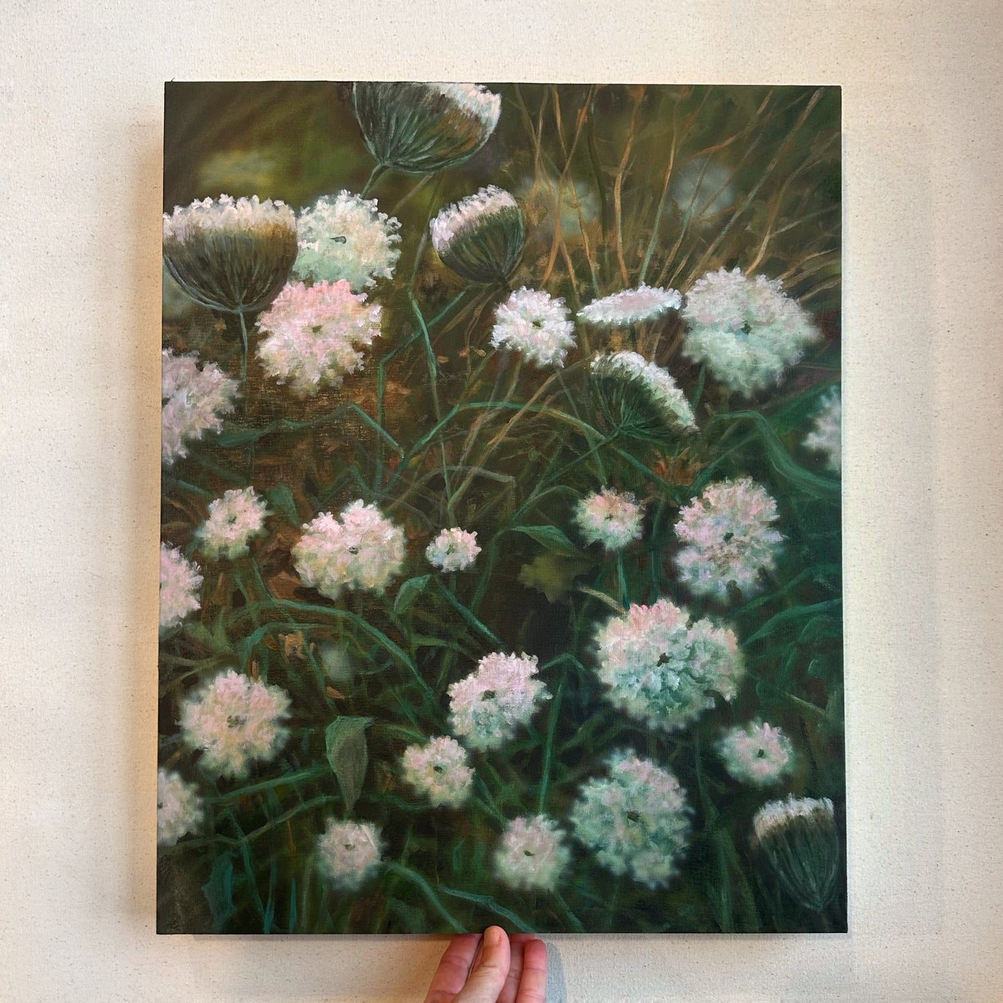 Queen Anne's Lace Glow