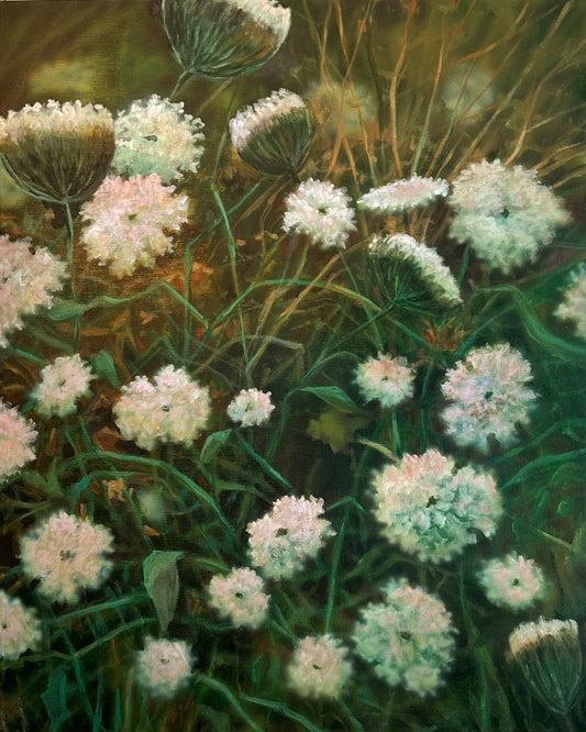 Queen Anne's Lace Glow