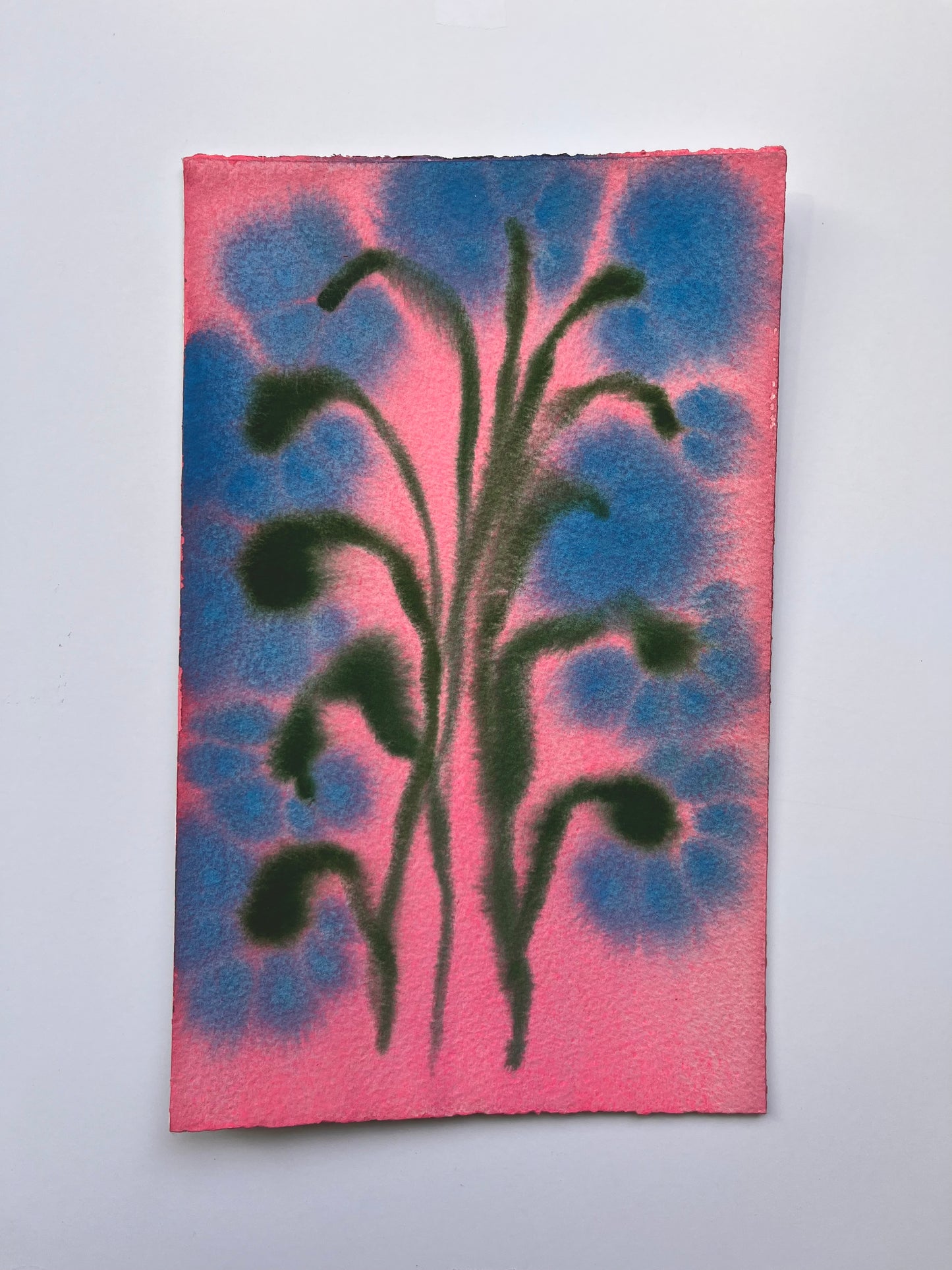 Fiori III