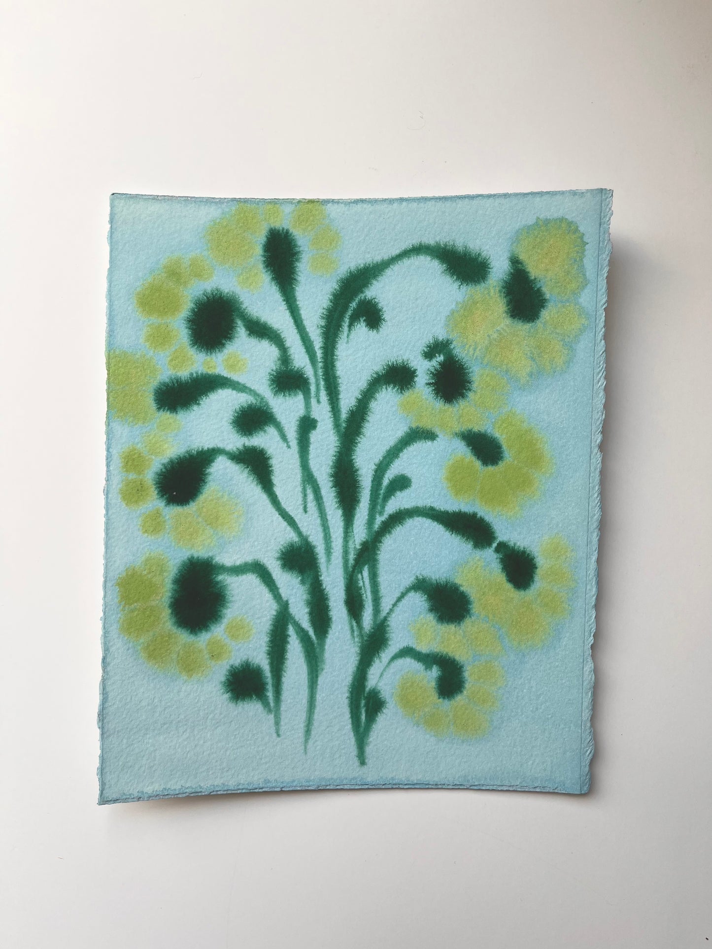 Fiori IX