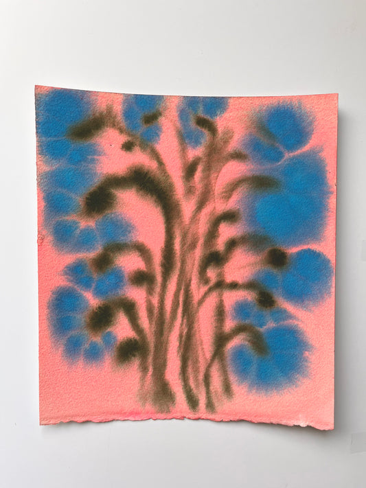 Fiori XIV