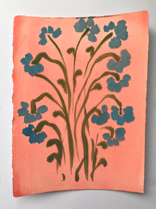 Fiori XVIII