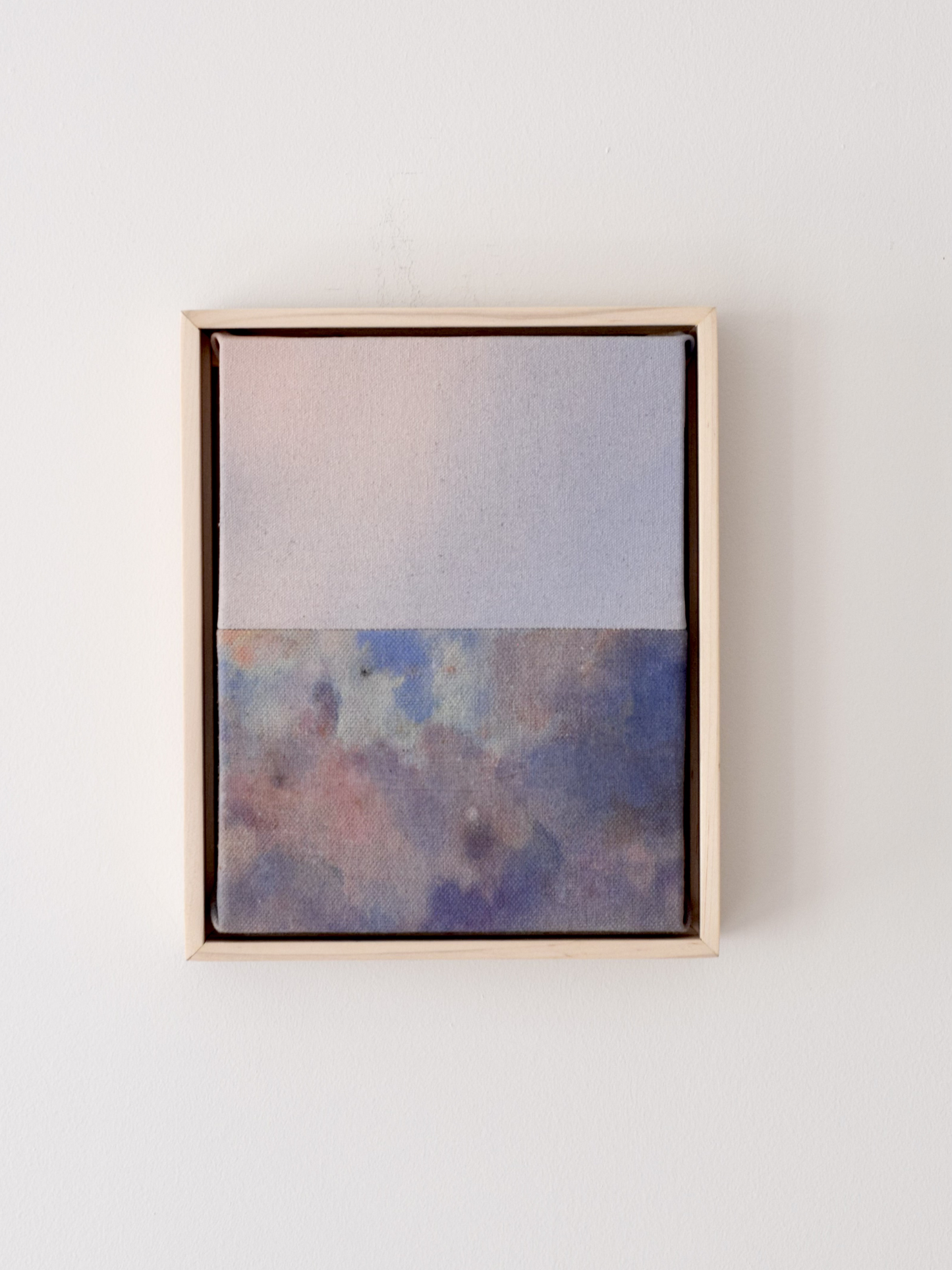 Laying in a Field of Wildflowers