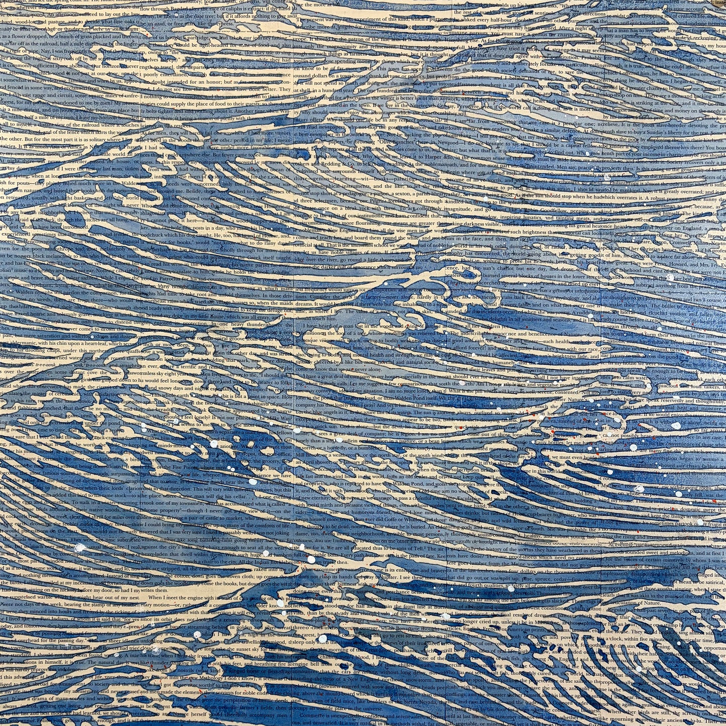 Walden Water II