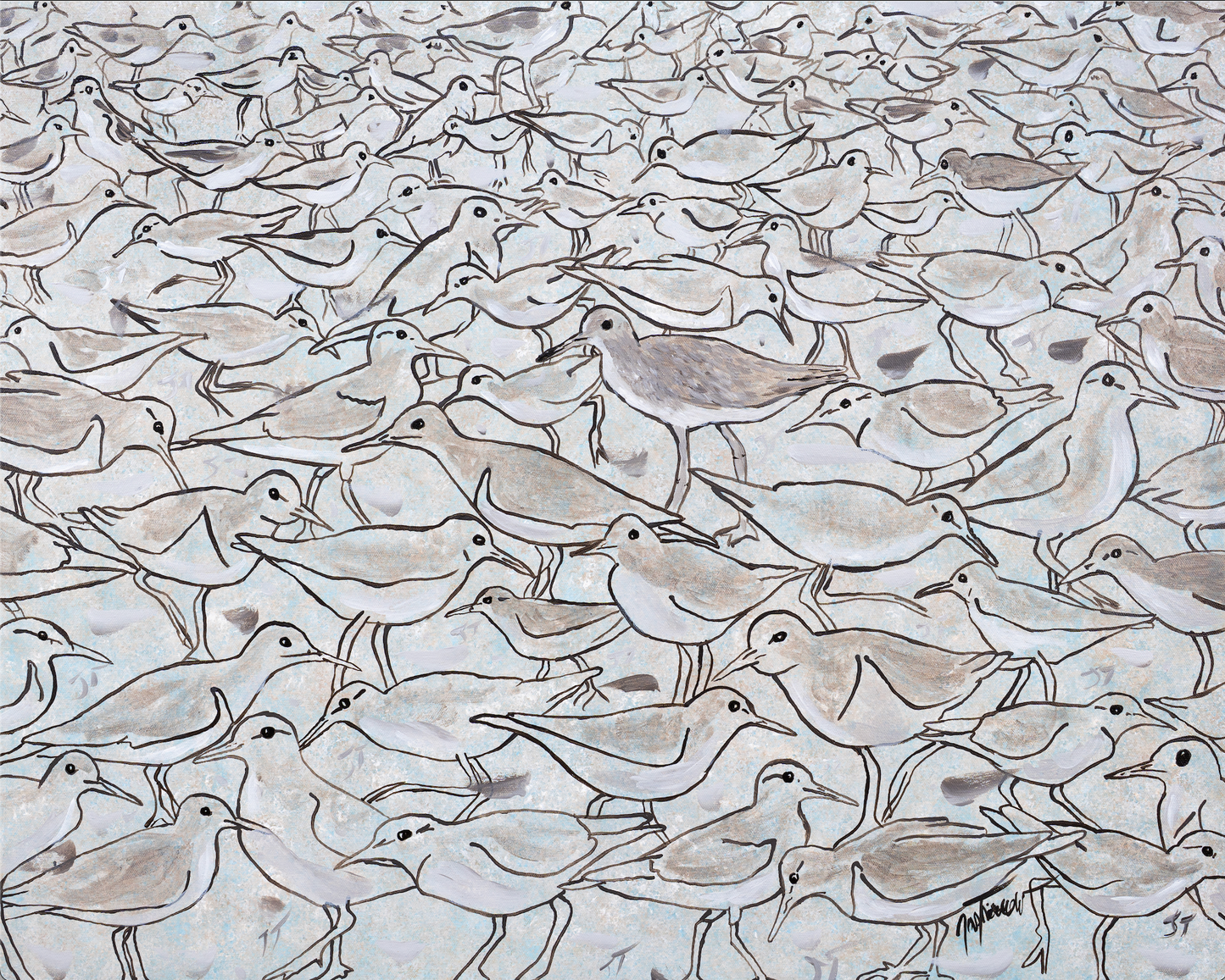 Coastal Herd
