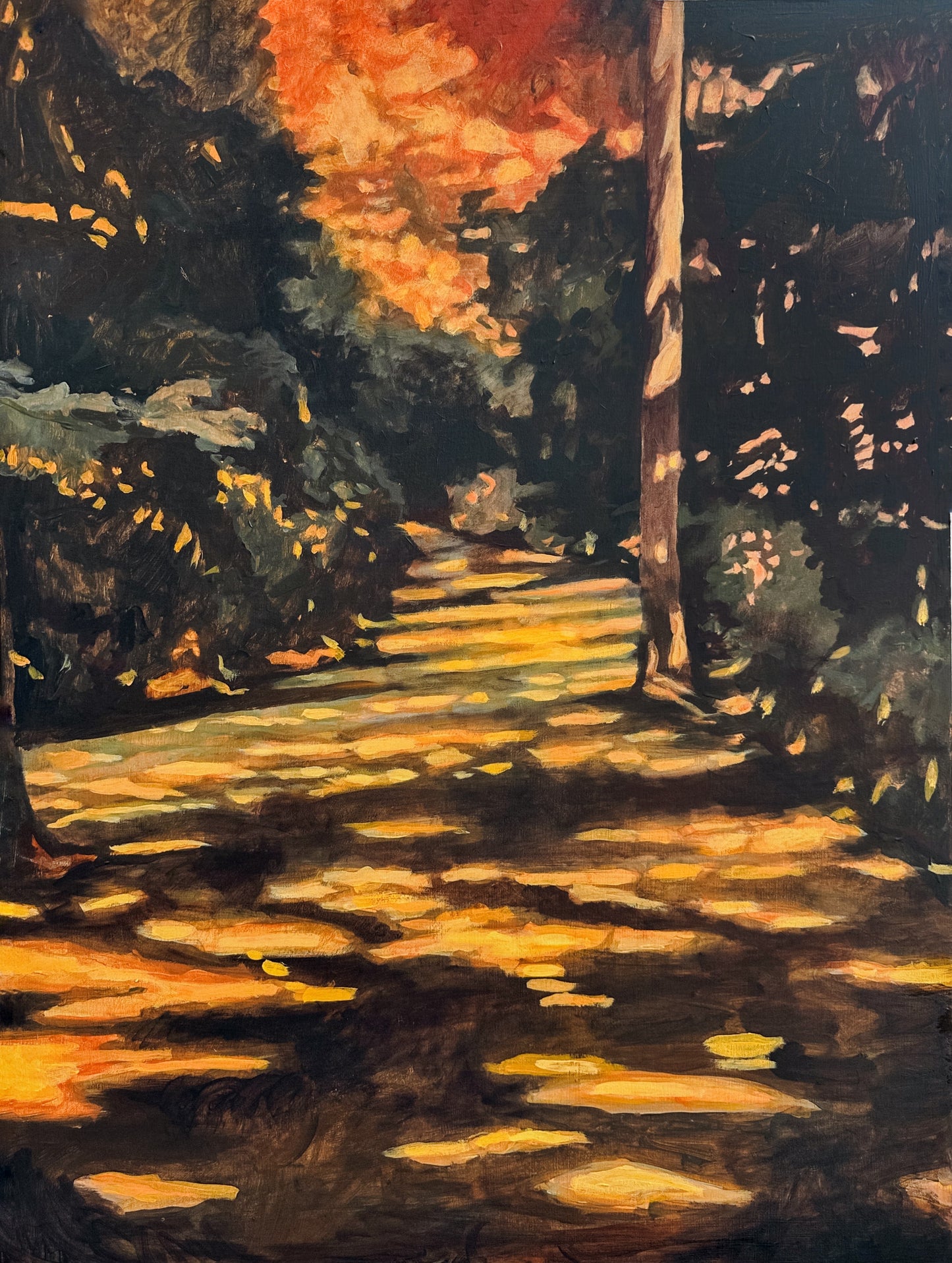 Sun Dappled Path