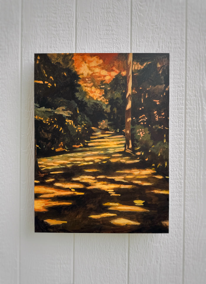 Sun Dappled Path