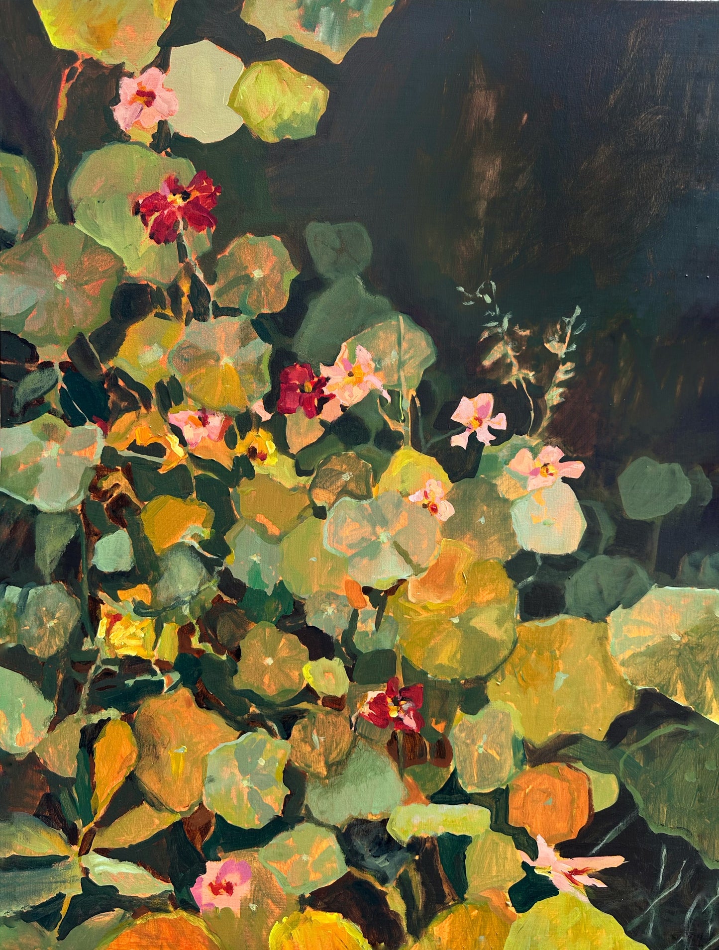 Nasturtium