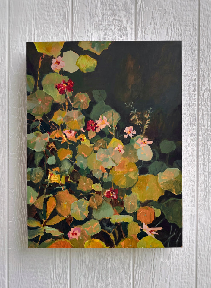 Nasturtium
