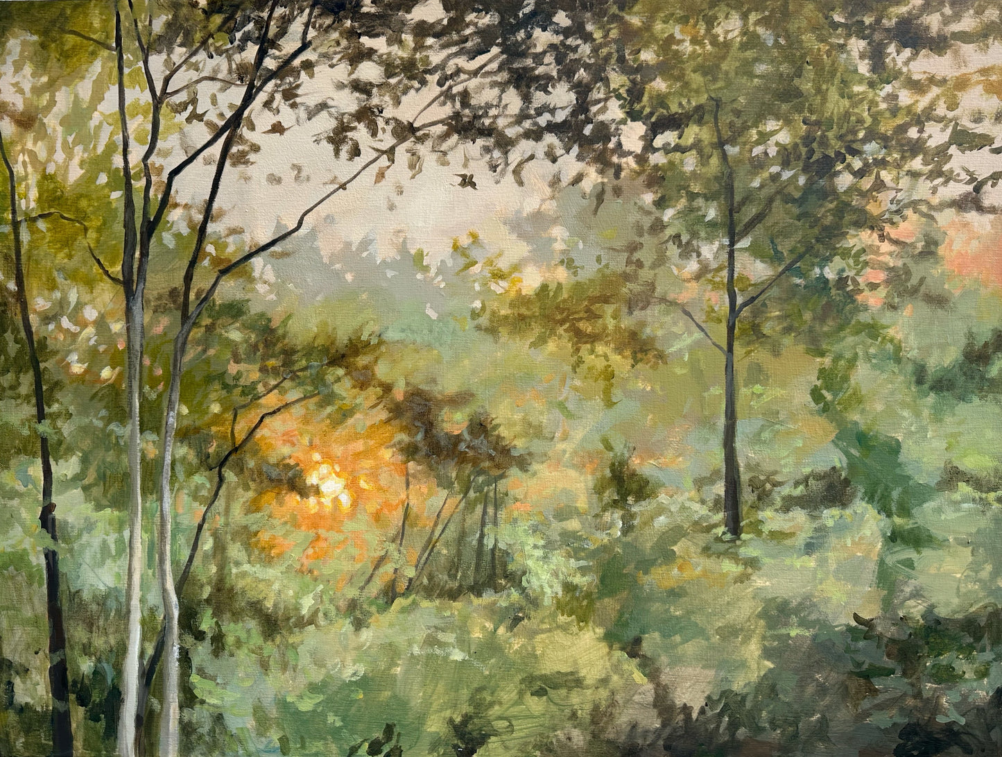 Early Morning Light