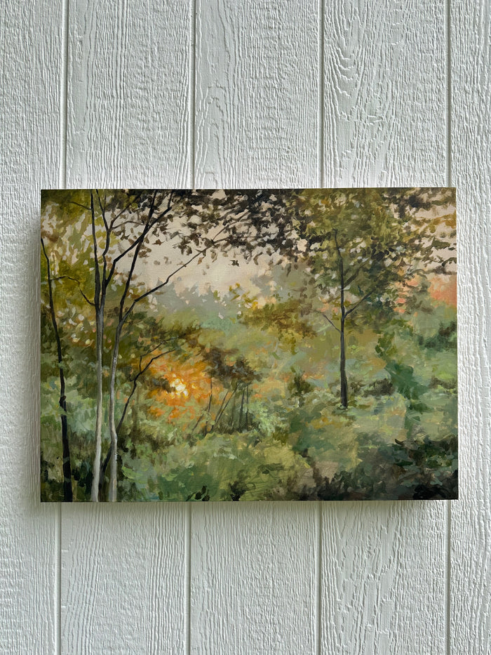 Early Morning Light