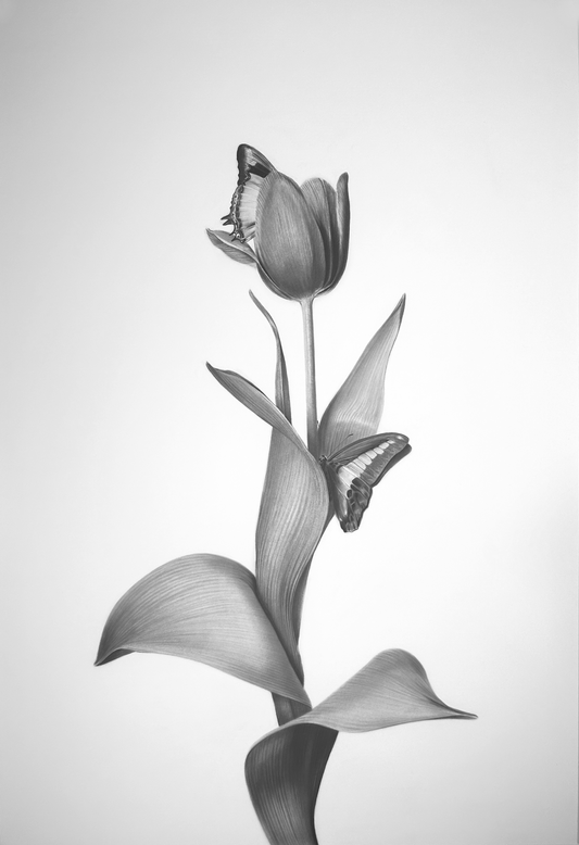 Delicate Blooms