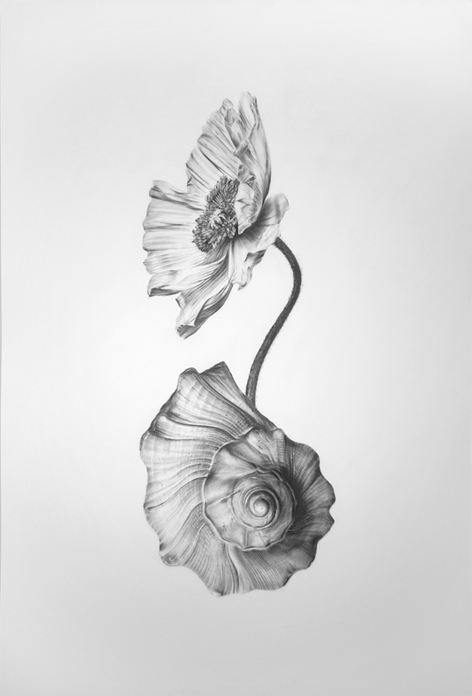 Equilibrium