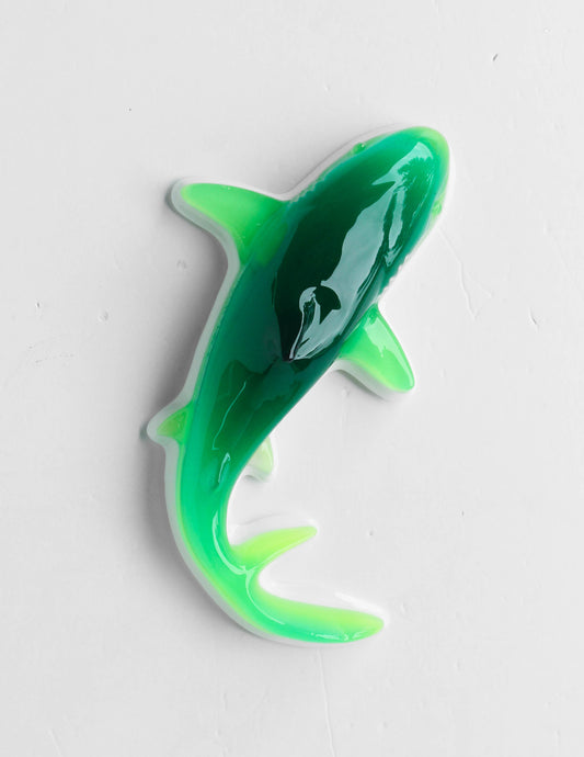 Gummy Shark in Sour Apple (Green and Lime)