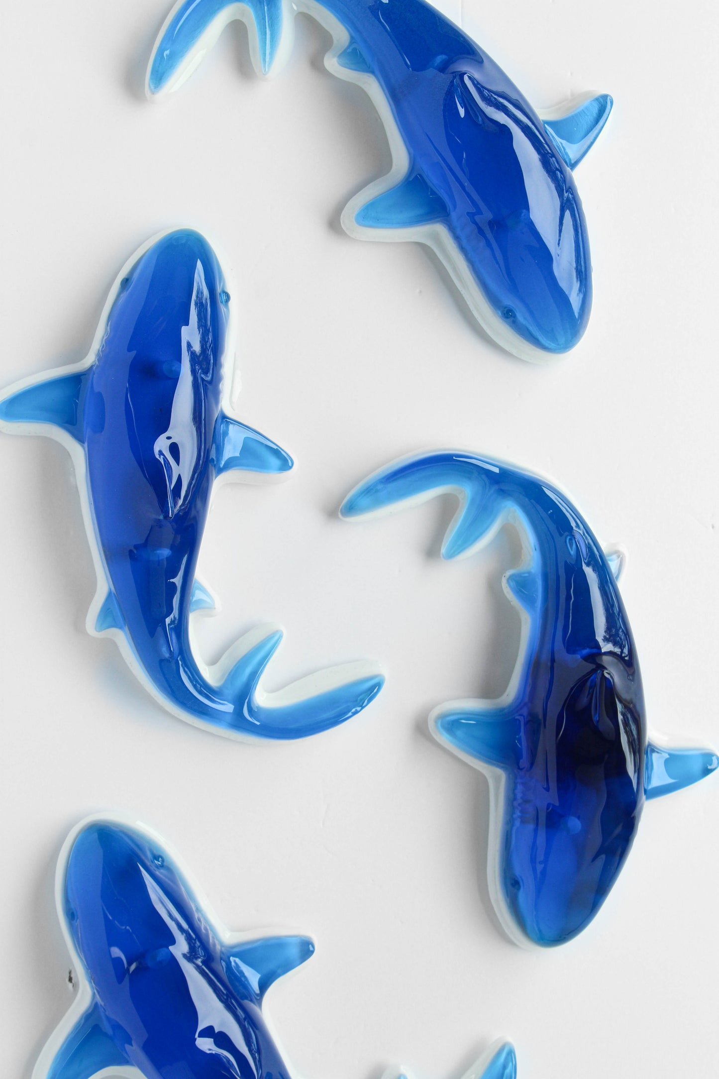 Gummy Shark in Classic Blue