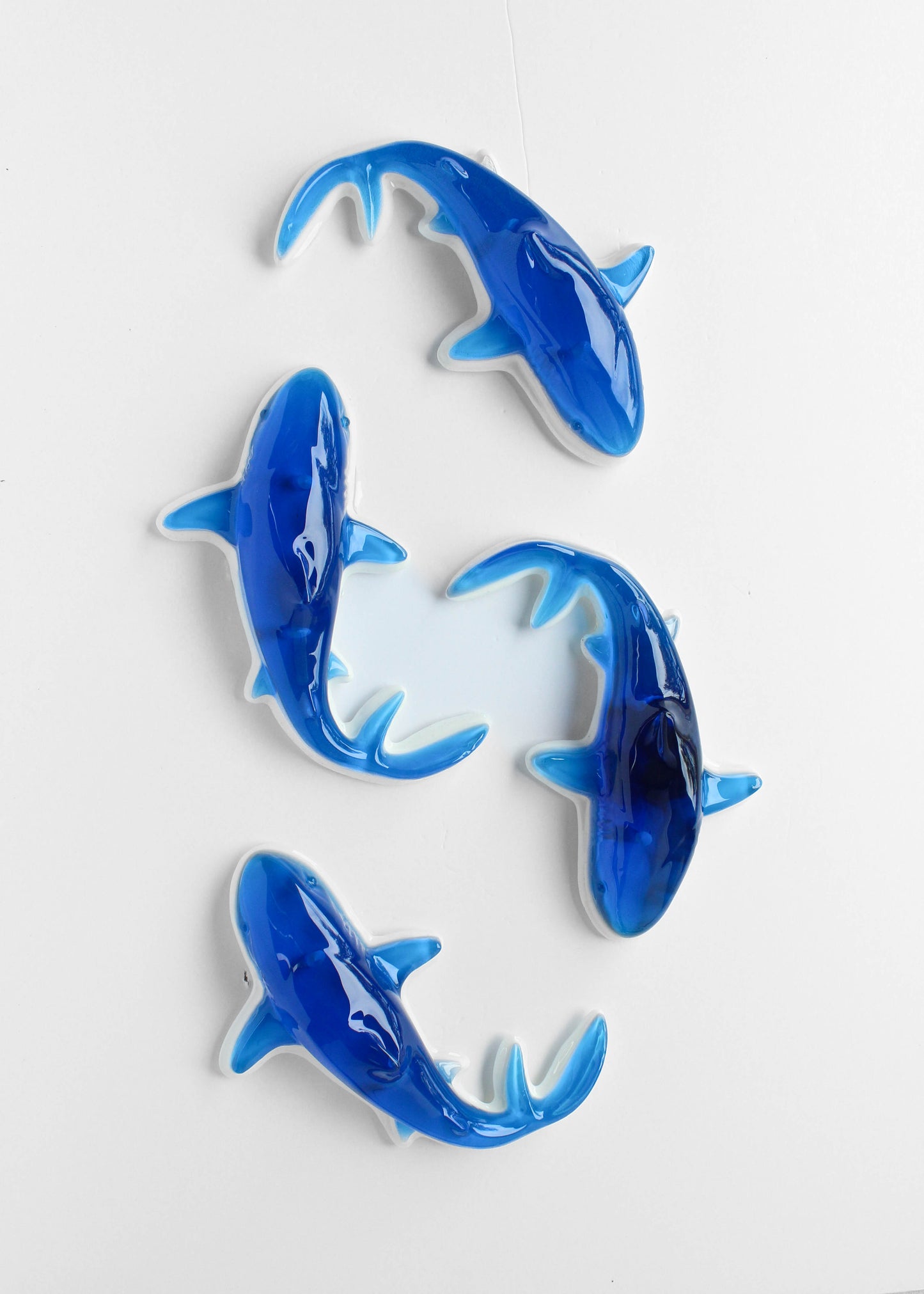 Gummy Shark in Classic Blue