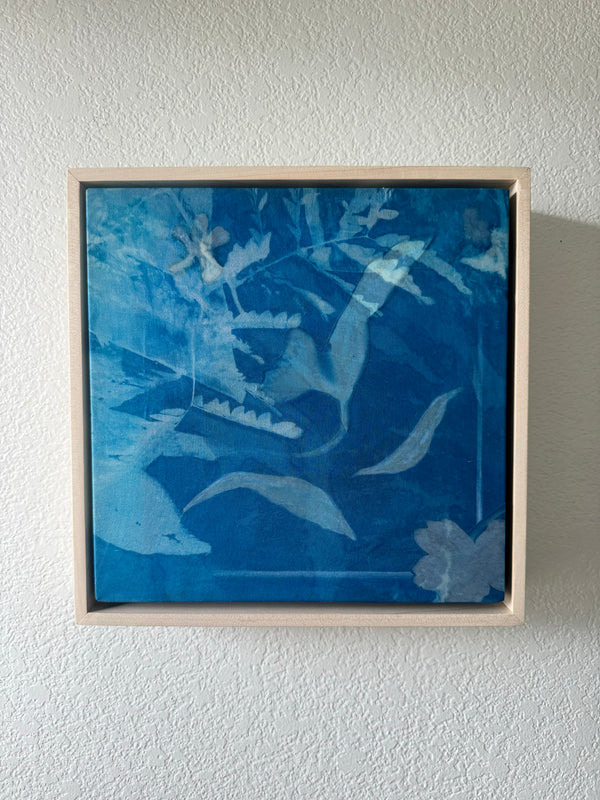 Invitation to Wonder IX by Kristen Abbott — original cyanotype and mixed media on paper and silk, 11×11 in, framed. Midnight Gallery.