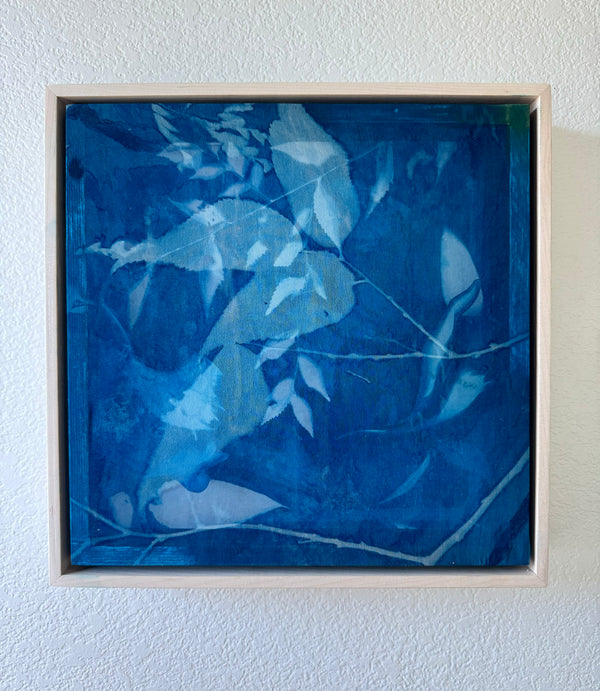 Invitation to Wonder VII by Kristen Abbott — original cyanotype and mixed media on paper and silk, 13×13 in, framed. Midnight Gallery.
