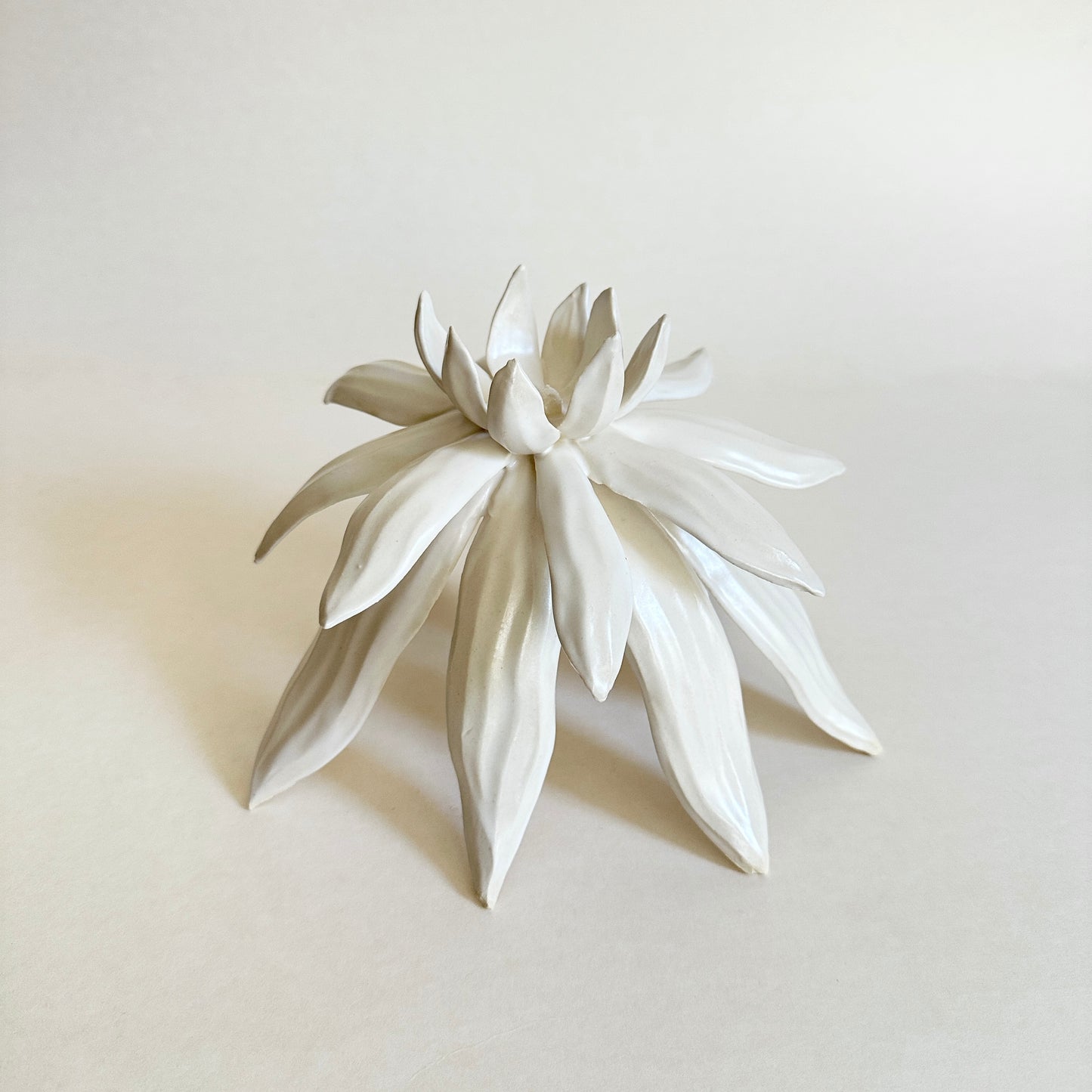 Rising Bloom