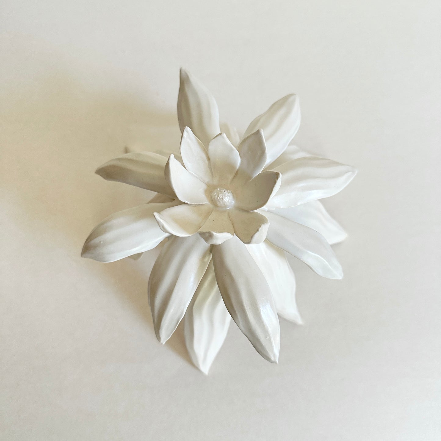 Rising Bloom