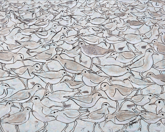 Coastal Herd