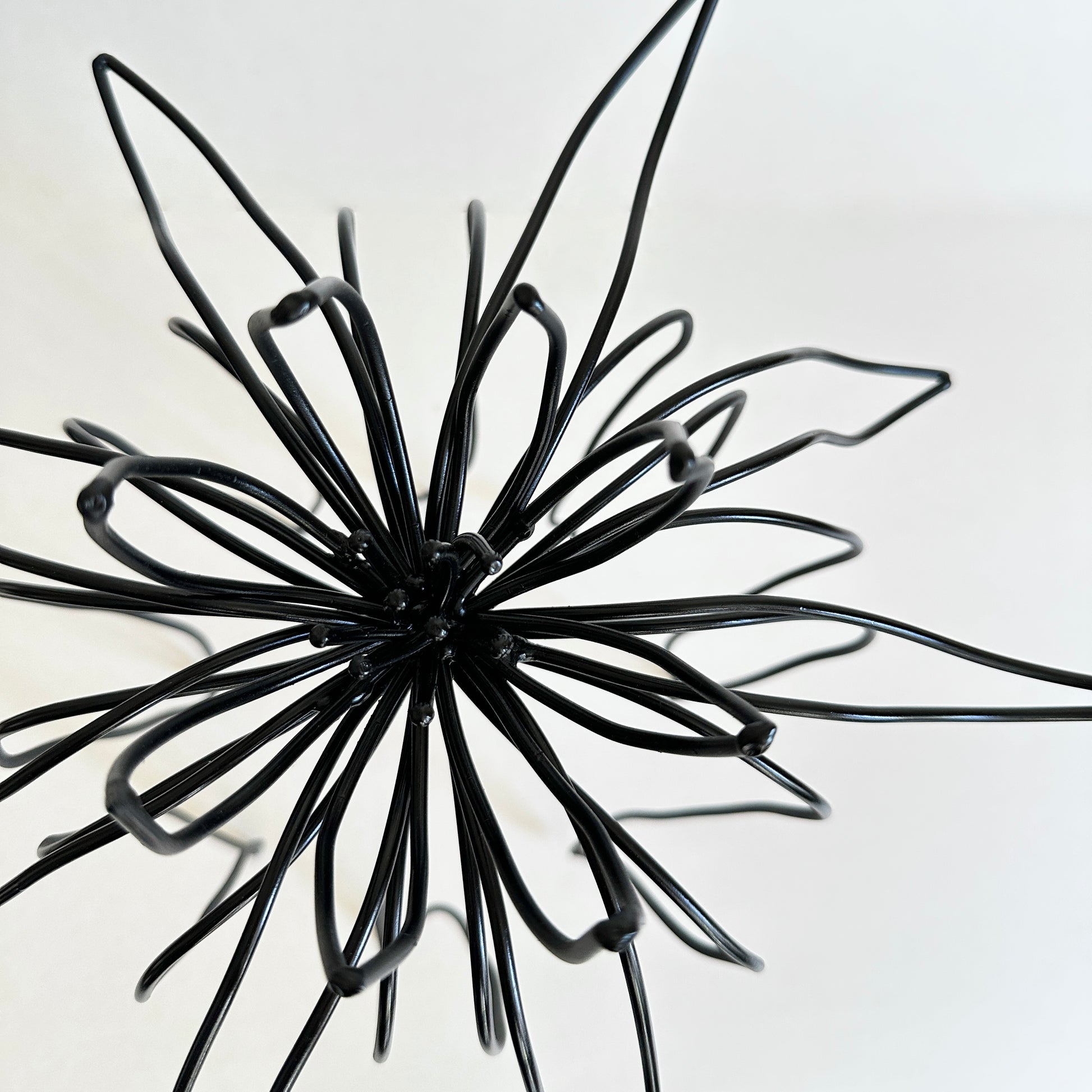 Still Unfolding by Emily Meisler — original welded steel sculpture, 13×13×13 in. Midnight Gallery.
