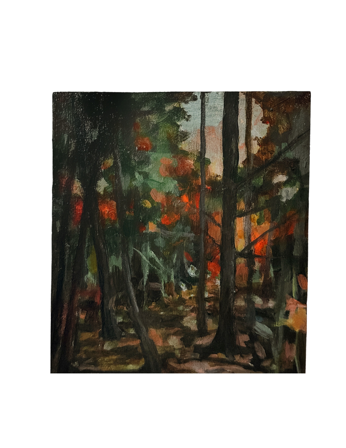 Deep in the Forest