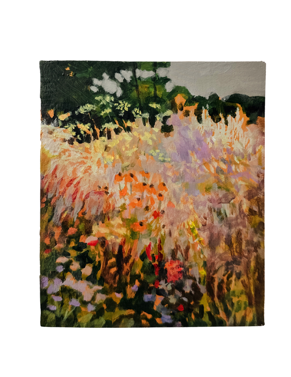 Golden Meadow